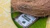 Betel-Leaf-Pakoda-With-Oregano-Sprinkles-:-Internet-Reacts-To-Puja-Plate-Twist