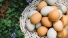 Chilli-Garlic-Eggs-Recipe:-A-Breakfast-That-Is-High-Protein,-Spicy-And-Weight-Loss-Friendly