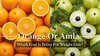Orange-Or-Amla:-Which-Fruit-Is-Better-For-Your-Weight-Loss-Diet?