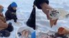 Family-Churns-Ice-Cream-Outdoors-In-The-Snow,-Viral-Video-Amazes-The-Internet