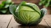 How-To-Clean-Cabbage-To-Remove-Worms-Safely