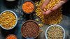 Urad,-Masoor,-Moong,-Chana:-Which-Dal-Has-The-Most-Protein?